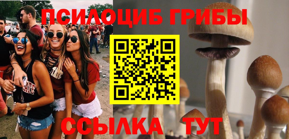 Алексин  Галлюциногенные грибы Cubensis  Вход с VPN 